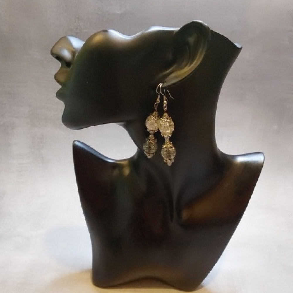 Chic Silver Gray Clear Dangle Earrings
